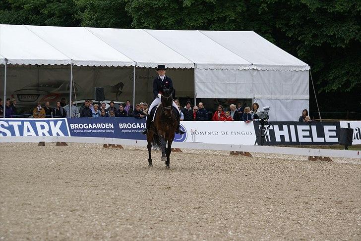 First Horse Grand Prix - 29 maj 2011 billede 237