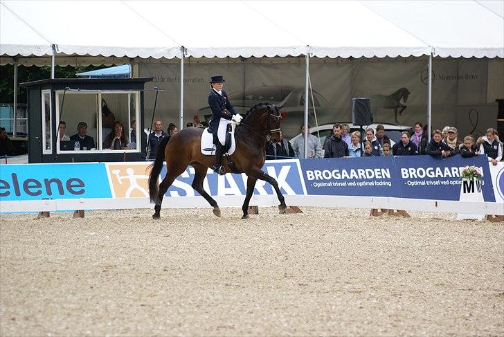 First Horse Grand Prix - 29 maj 2011 billede 239