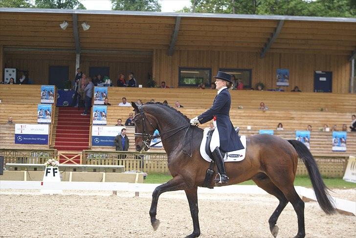 First Horse Grand Prix - 29 maj 2011 billede 241