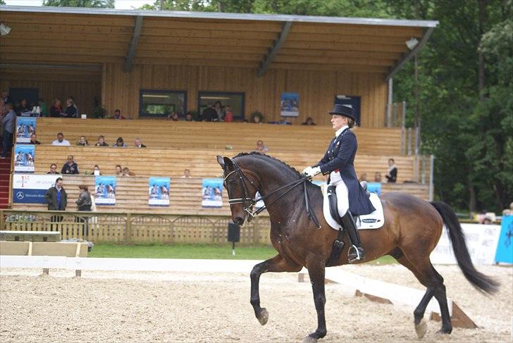 First Horse Grand Prix - 29 maj 2011 billede 242