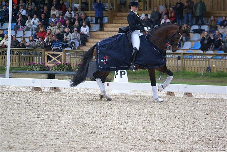 First Horse Grand Prix - 29 maj 2011 billede 246