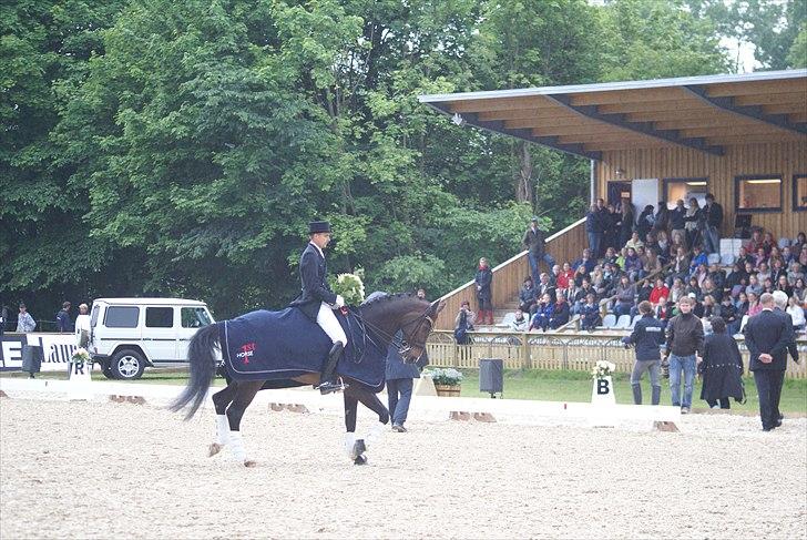 First Horse Grand Prix - 29 maj 2011 billede 249