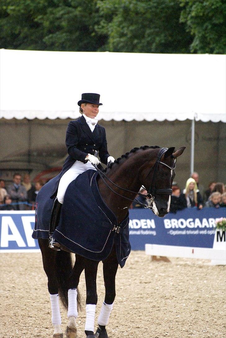 First Horse Grand Prix - 29 maj 2011 billede 253