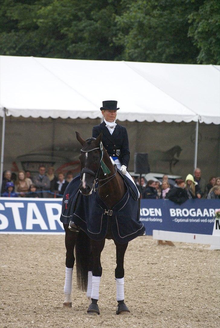 First Horse Grand Prix - 29 maj 2011 billede 256