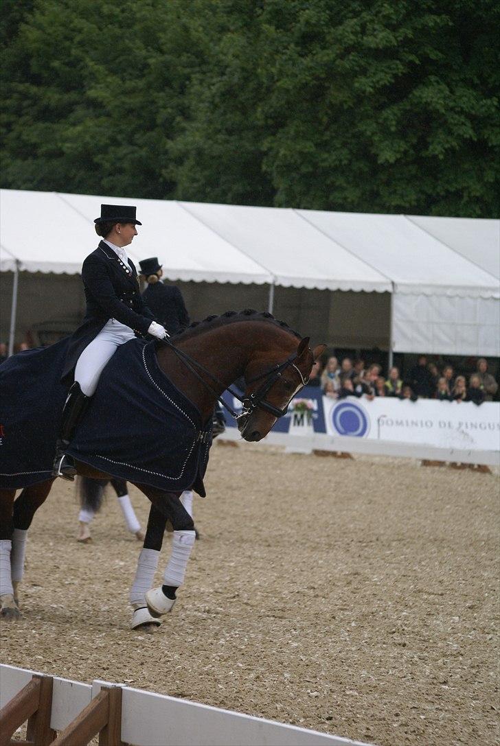 First Horse Grand Prix - 29 maj 2011 billede 266