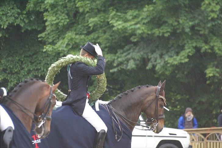 First Horse Grand Prix - 29 maj 2011 billede 270