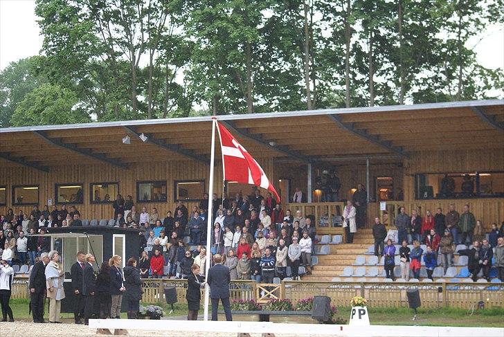 First Horse Grand Prix - 29 maj 2011 billede 273