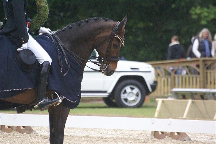 First Horse Grand Prix - 29 maj 2011 billede 279