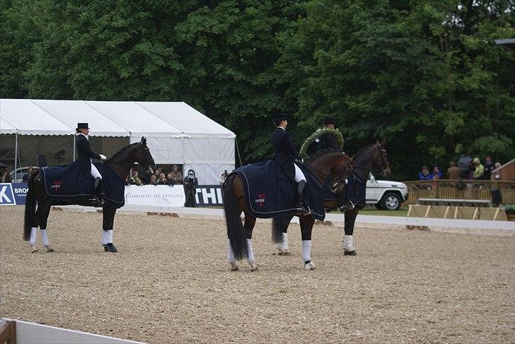 First Horse Grand Prix - 29 maj 2011 billede 291