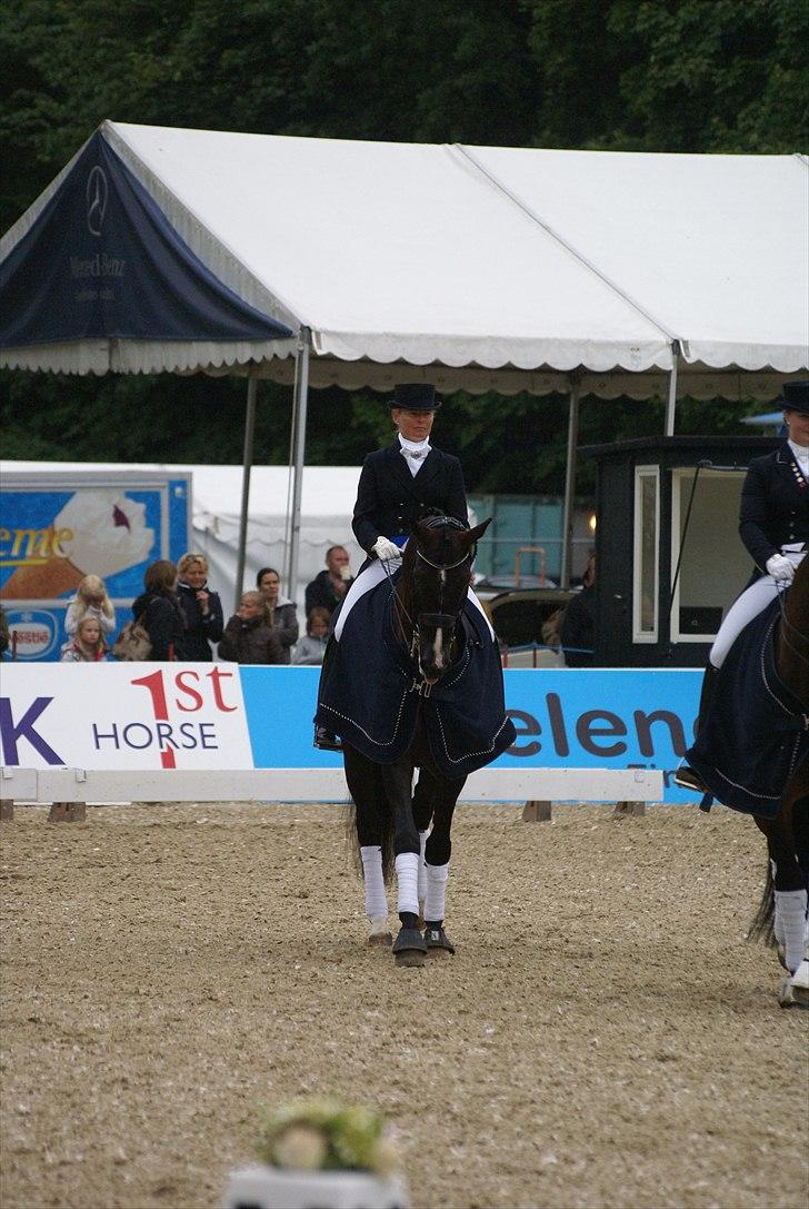 First Horse Grand Prix - 29 maj 2011 billede 297