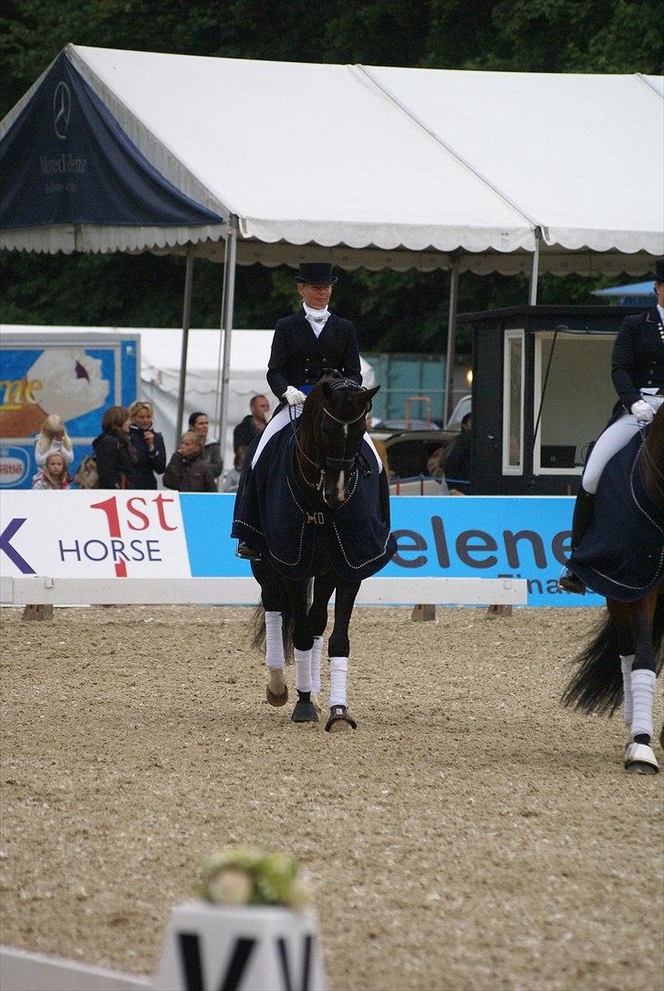 First Horse Grand Prix - 29 maj 2011 billede 298