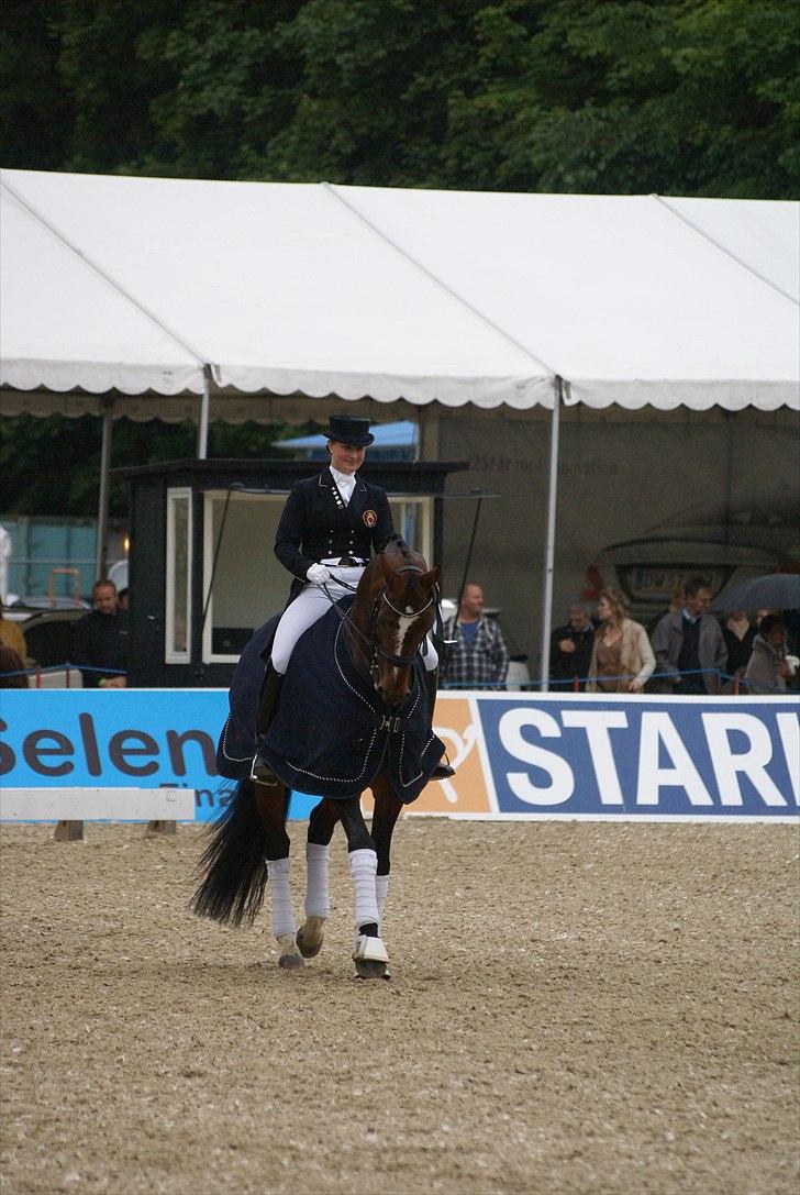 First Horse Grand Prix - 29 maj 2011 billede 300