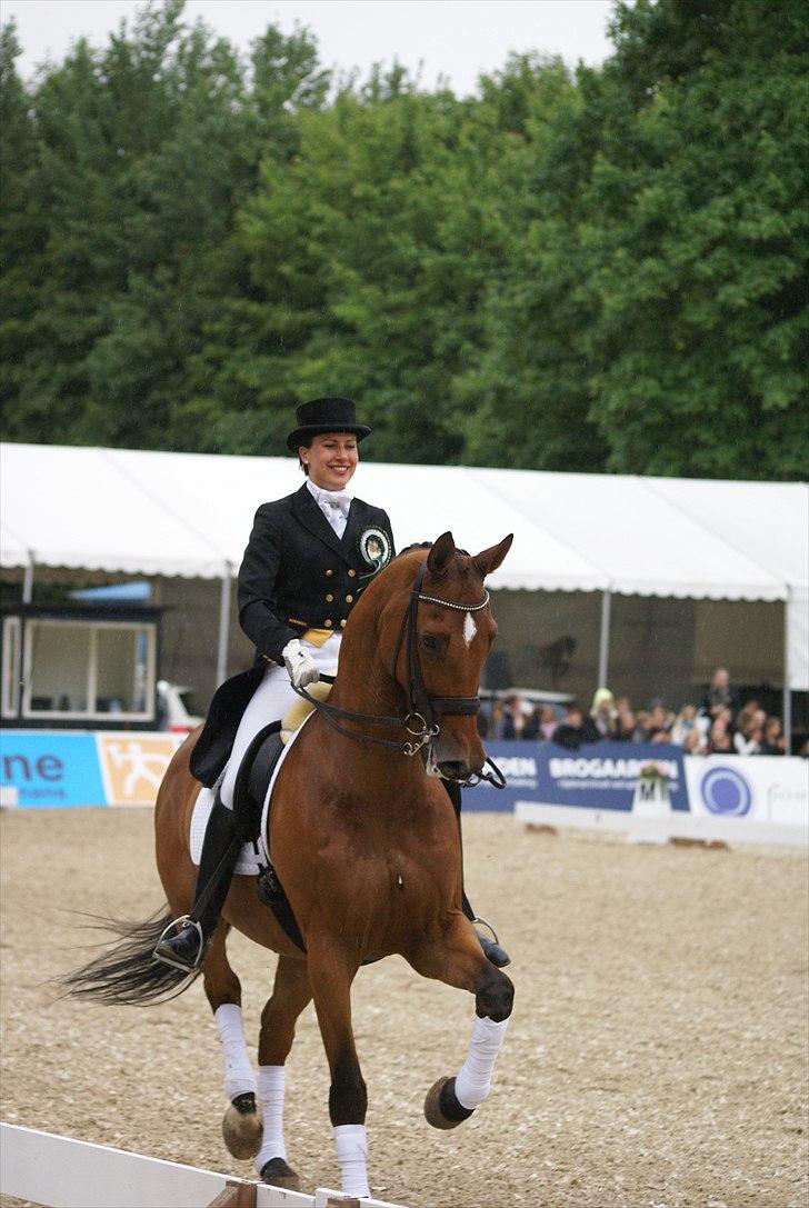 First Horse Grand Prix - 29 maj 2011 billede 324