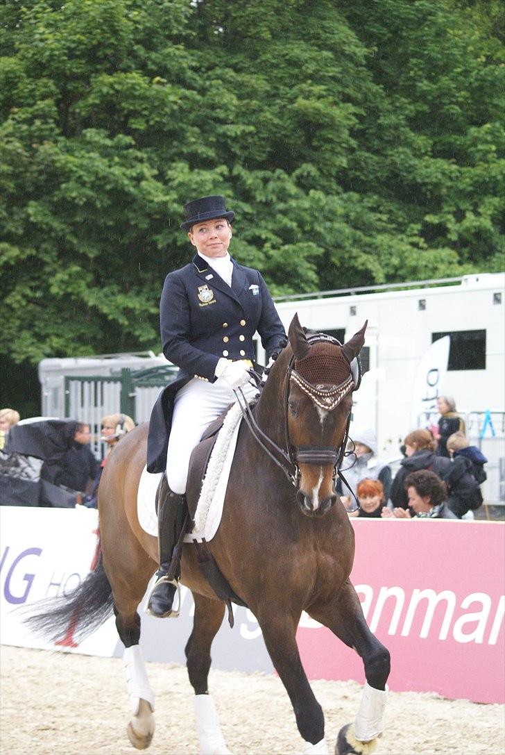 First Horse Grand Prix - 29 maj 2011 billede 334