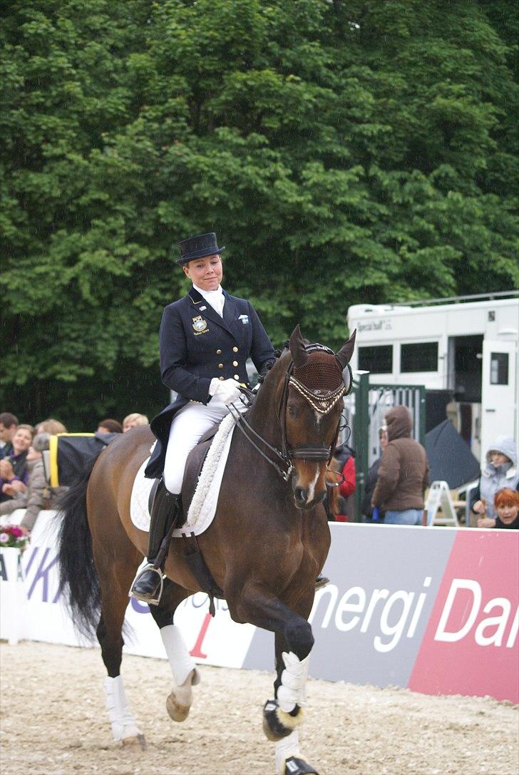 First Horse Grand Prix - 29 maj 2011 billede 335