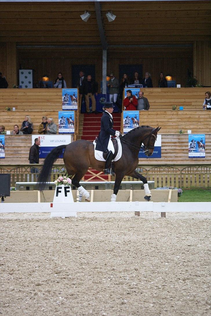 First Horse Grand Prix - 29 maj 2011 billede 338