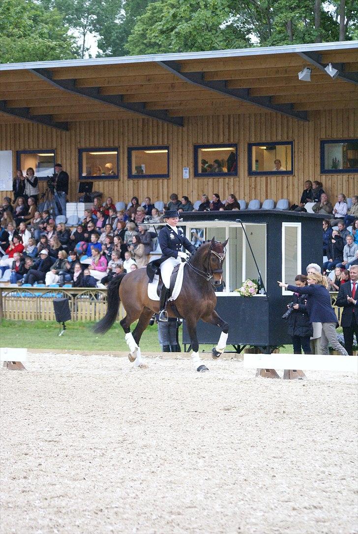 First Horse Grand Prix - 29 maj 2011 billede 344