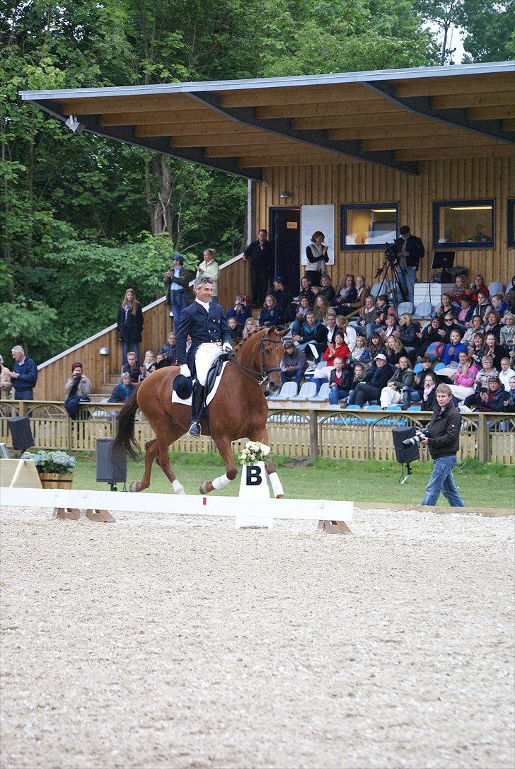 First Horse Grand Prix - 29 maj 2011 billede 359