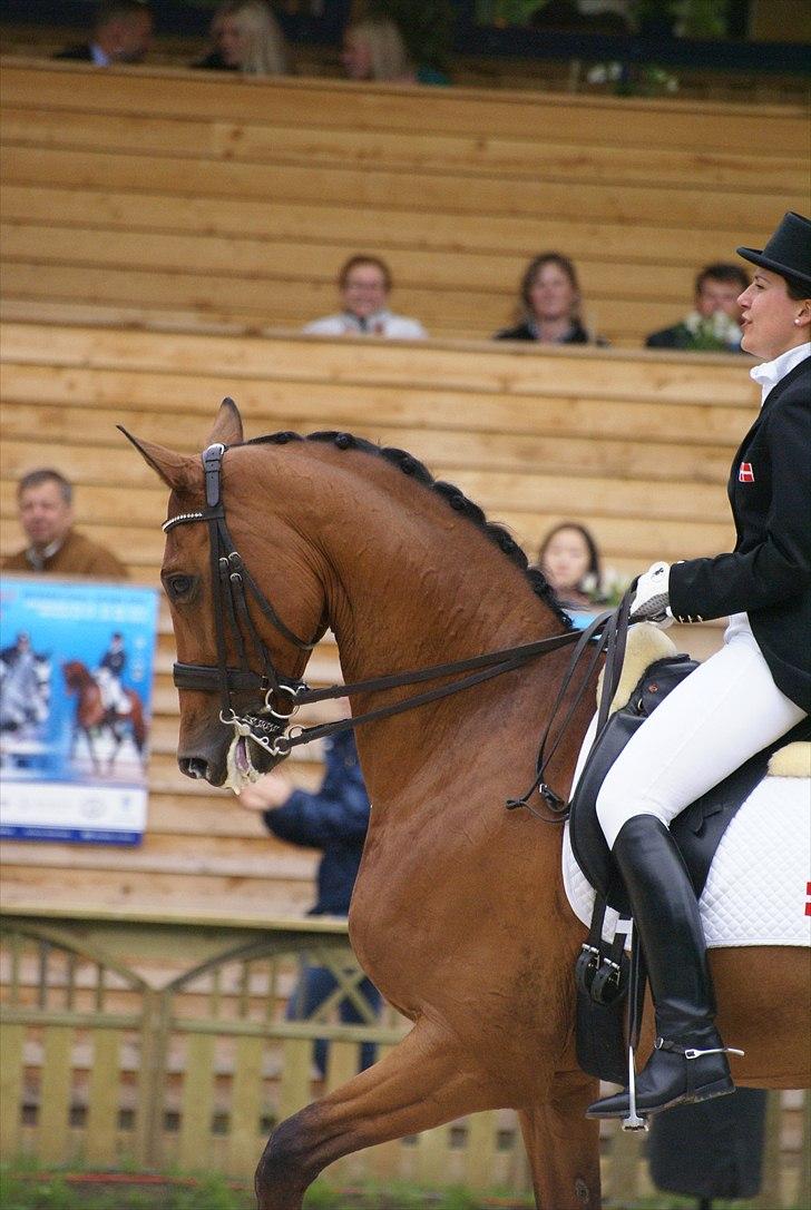 First Horse Grand Prix - 29 maj 2011 billede 372