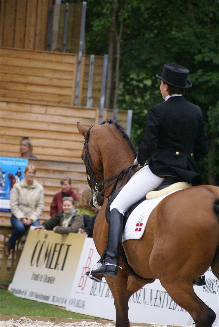 First Horse Grand Prix - 29 maj 2011 billede 373