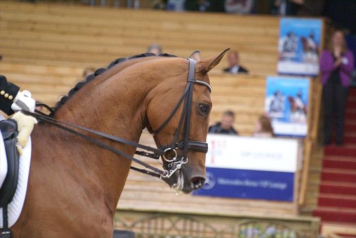 First Horse Grand Prix - 29 maj 2011 billede 375