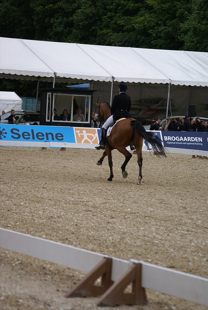 First Horse Grand Prix - 29 maj 2011 billede 383