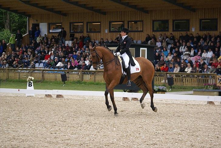 First Horse Grand Prix - 29 maj 2011 billede 387