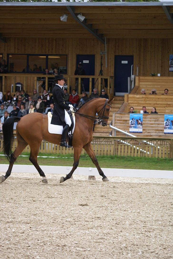 First Horse Grand Prix - 29 maj 2011 billede 391