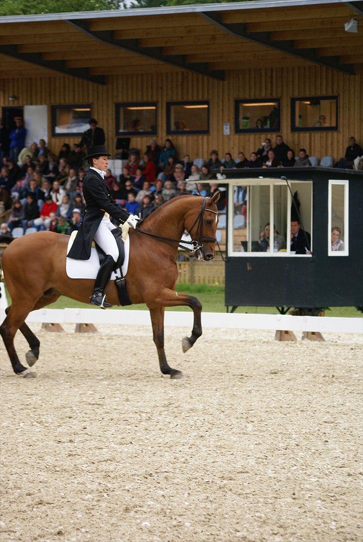 First Horse Grand Prix - 29 maj 2011 billede 395