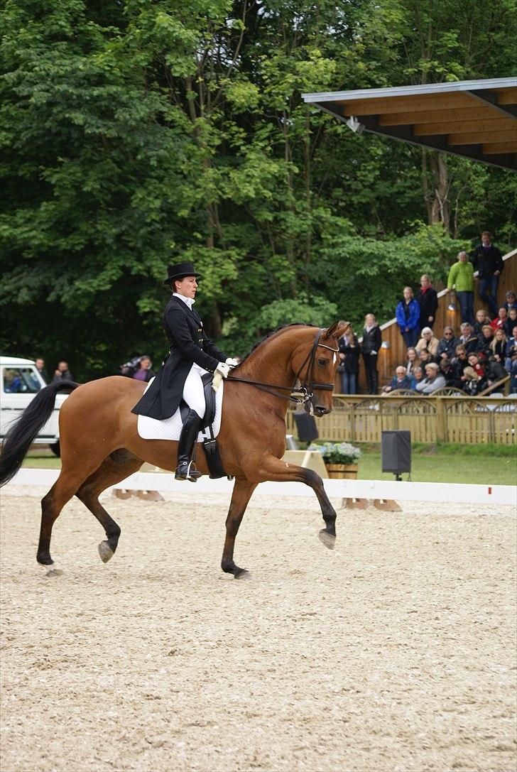 First Horse Grand Prix - 29 maj 2011 billede 397