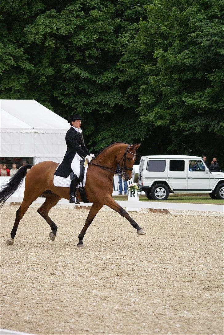 First Horse Grand Prix - 29 maj 2011 billede 399