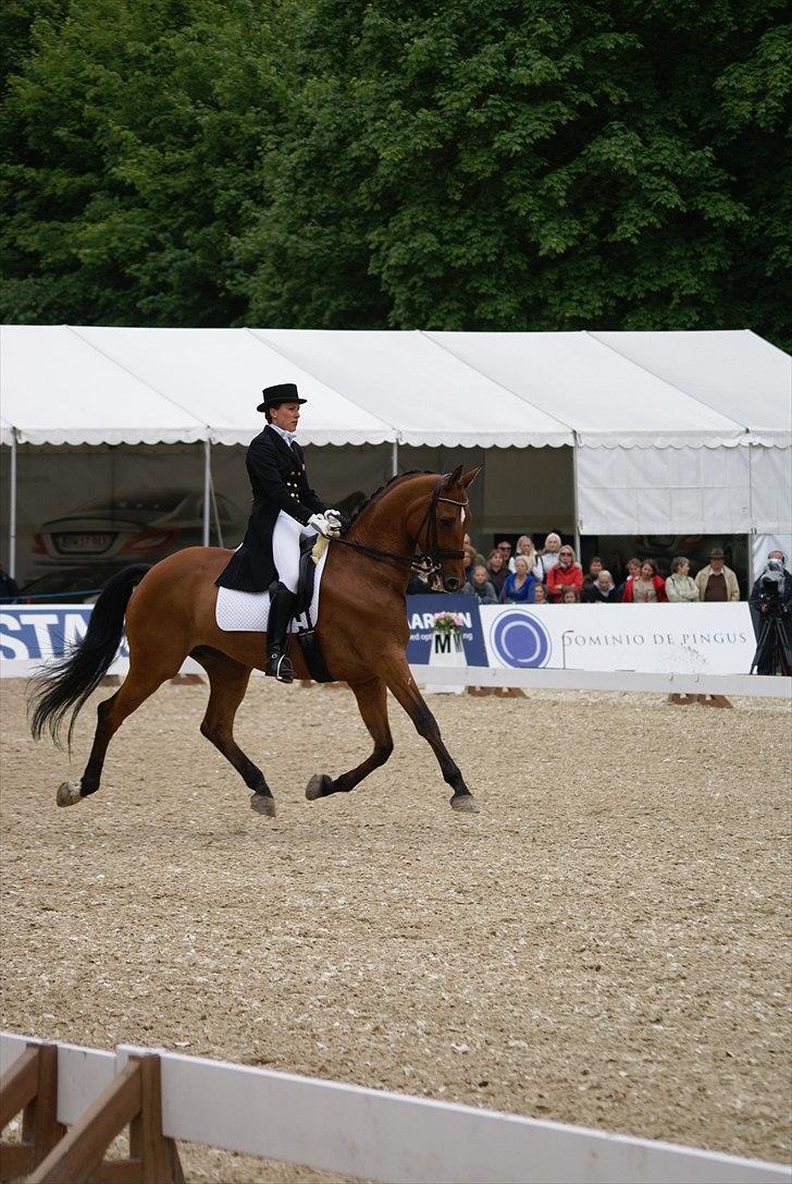 First Horse Grand Prix - 29 maj 2011 billede 401