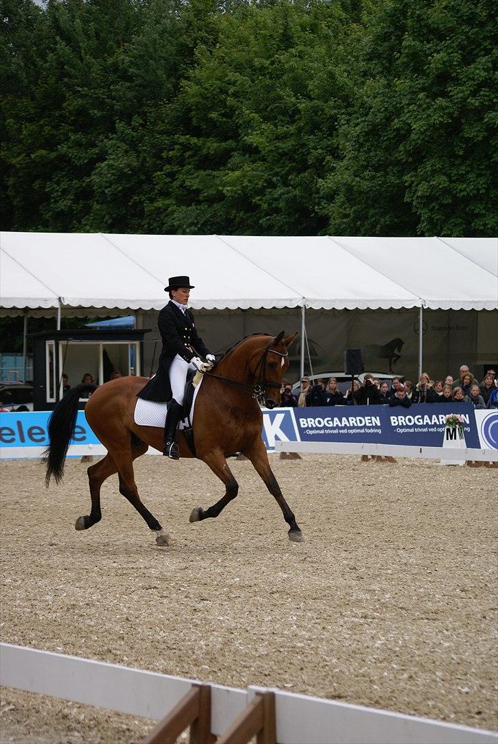 First Horse Grand Prix - 29 maj 2011 billede 402