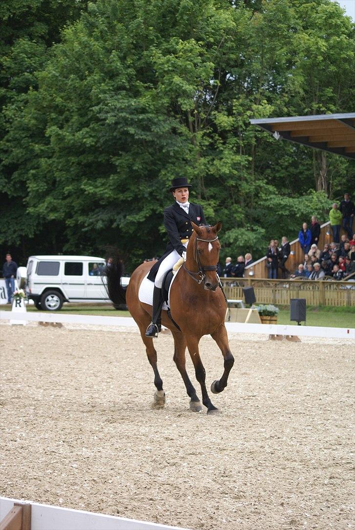 First Horse Grand Prix - 29 maj 2011 billede 406