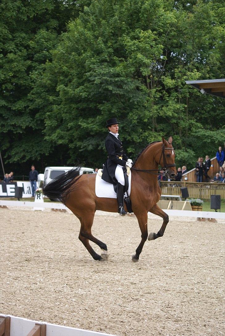 First Horse Grand Prix - 29 maj 2011 billede 407