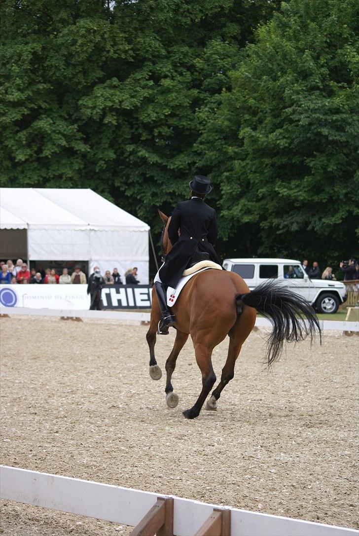 First Horse Grand Prix - 29 maj 2011 billede 411