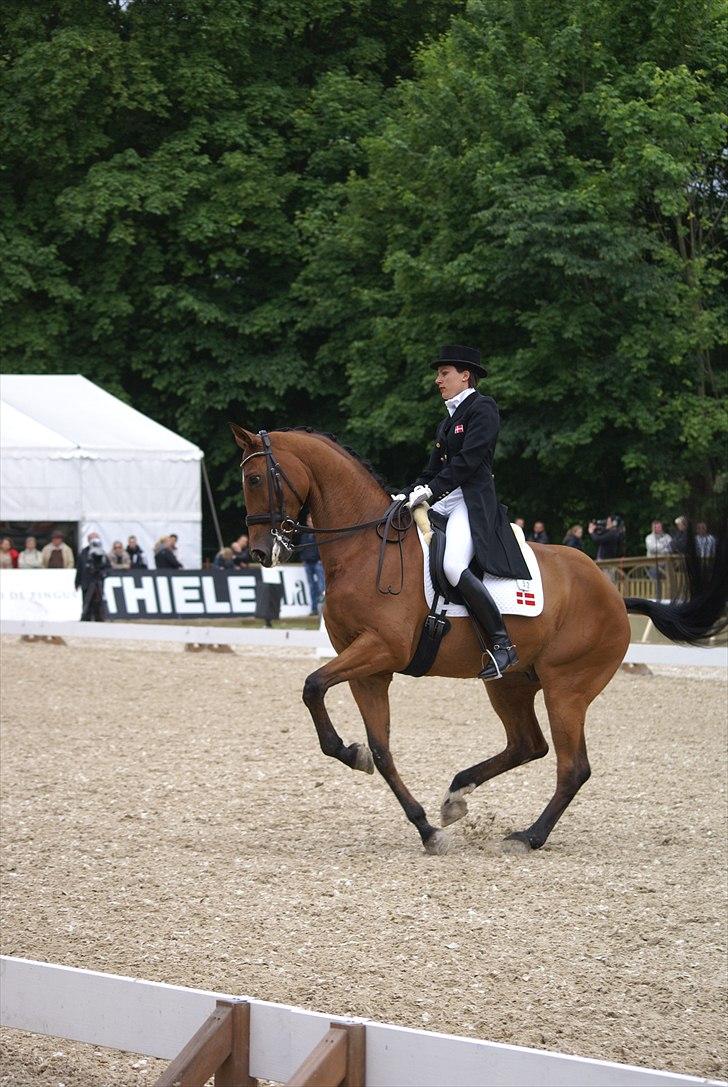 First Horse Grand Prix - 29 maj 2011 billede 413