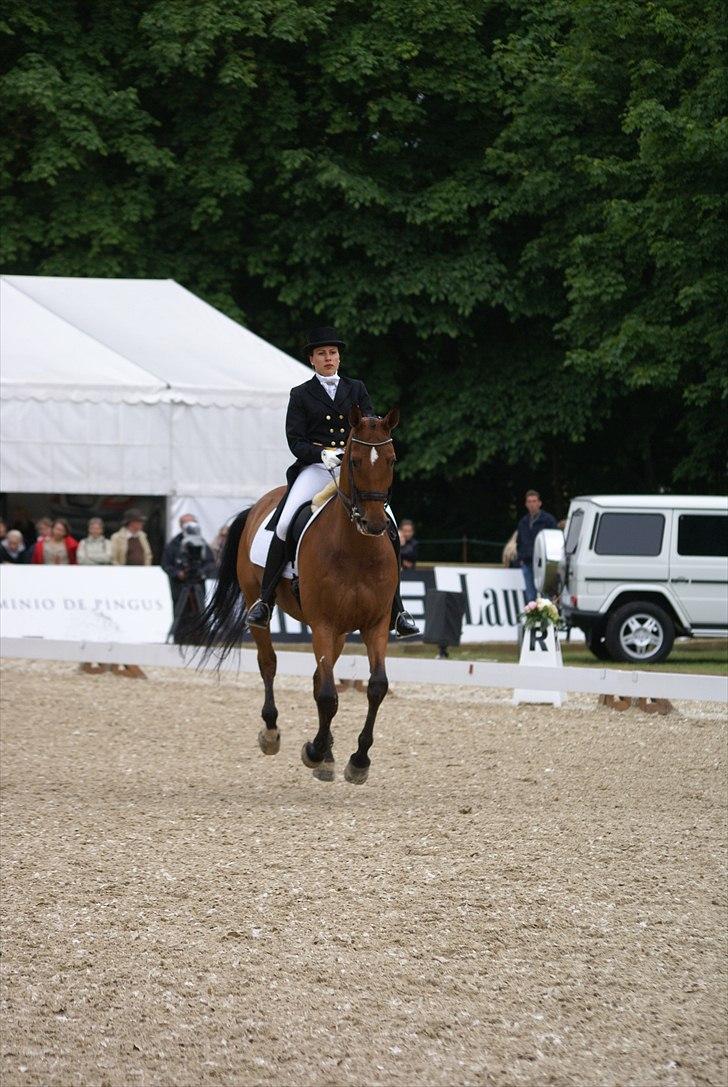 First Horse Grand Prix - 29 maj 2011 billede 416