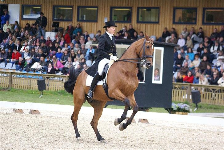 First Horse Grand Prix - 29 maj 2011 billede 424