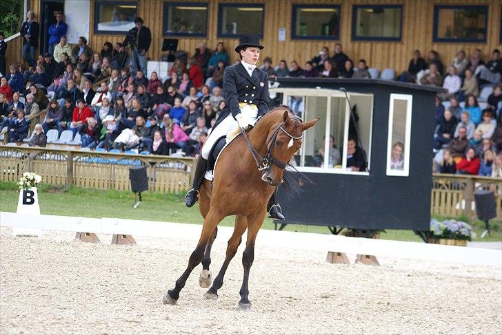 First Horse Grand Prix - 29 maj 2011 billede 425