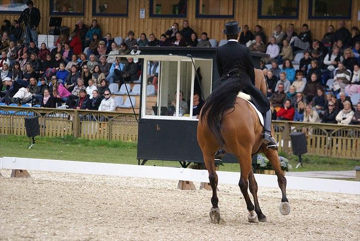 First Horse Grand Prix - 29 maj 2011 billede 428