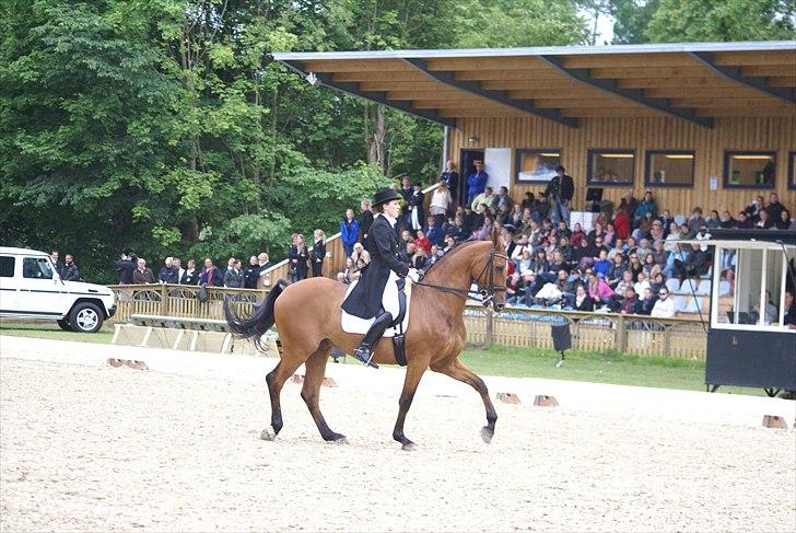 First Horse Grand Prix - 29 maj 2011 billede 430