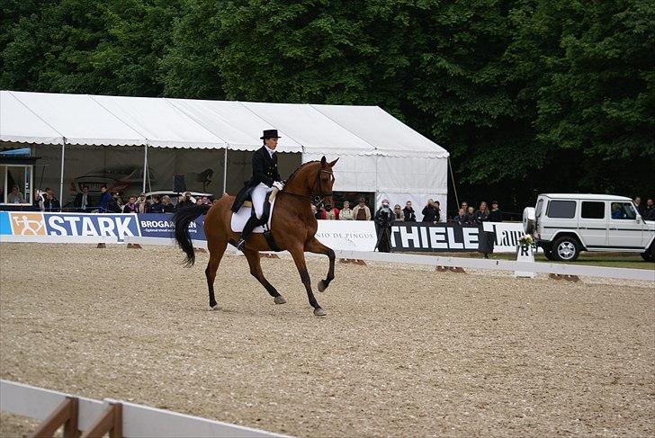 First Horse Grand Prix - 29 maj 2011 billede 432