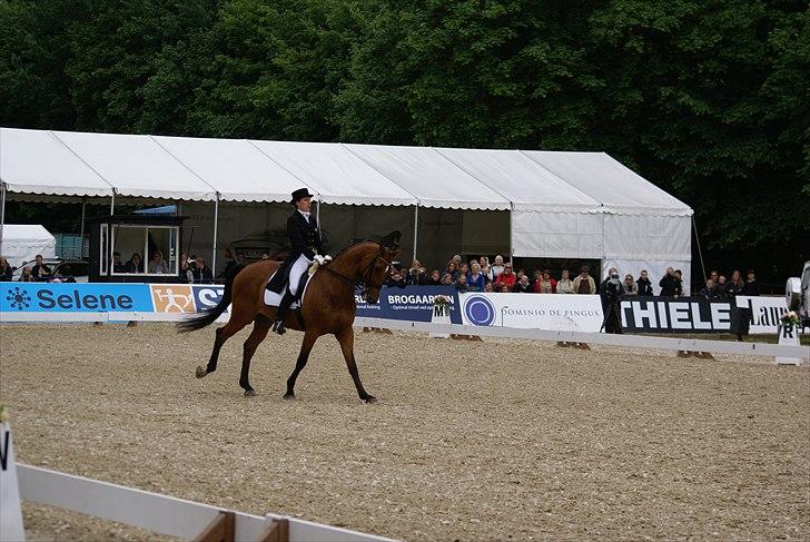 First Horse Grand Prix - 29 maj 2011 billede 433