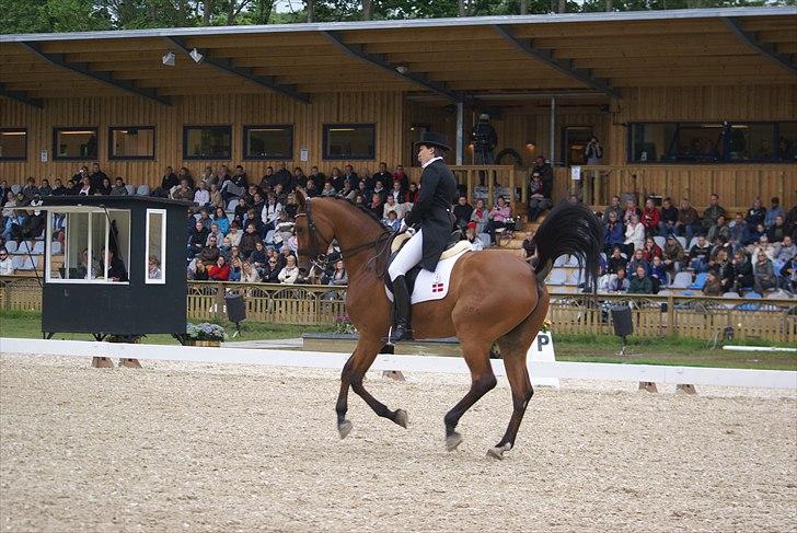 First Horse Grand Prix - 29 maj 2011 billede 434