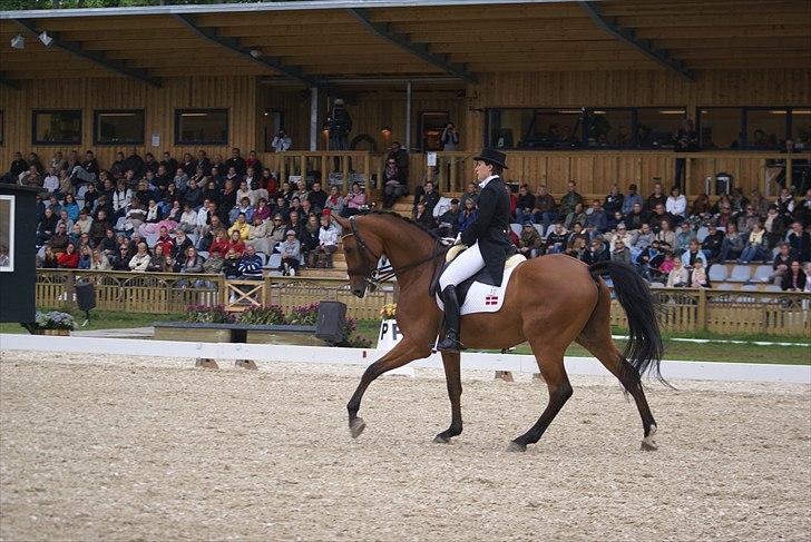 First Horse Grand Prix - 29 maj 2011 billede 435