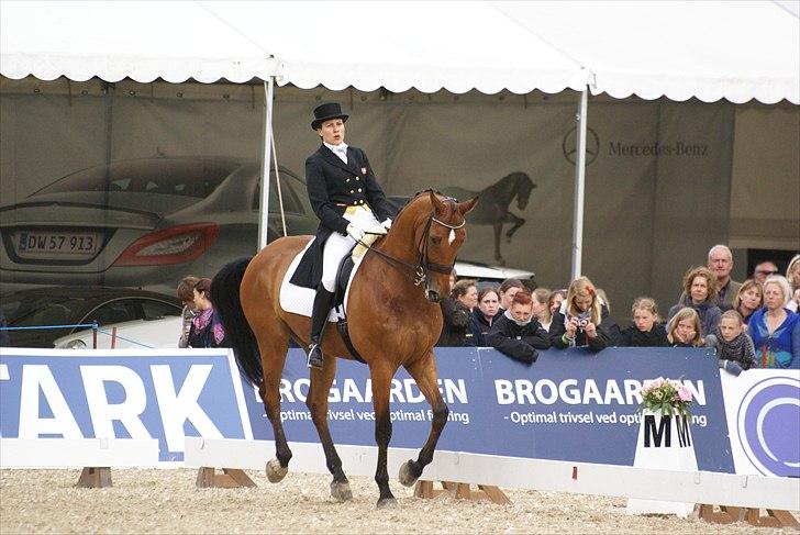 First Horse Grand Prix - 29 maj 2011 billede 447