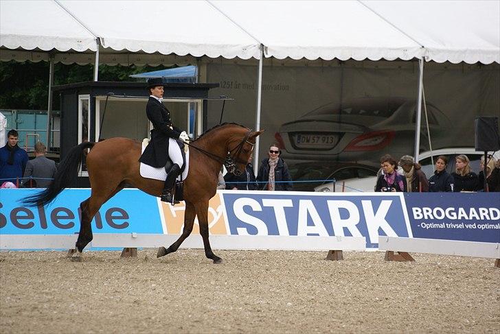 First Horse Grand Prix - 29 maj 2011 billede 448