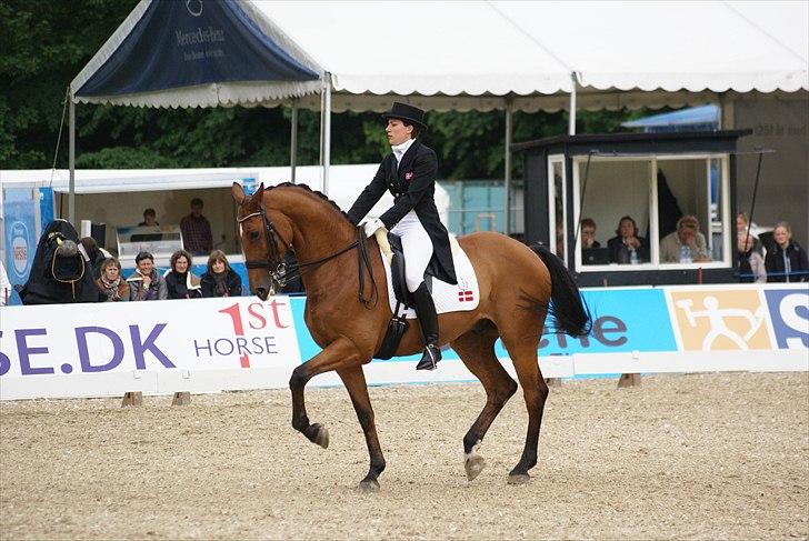 First Horse Grand Prix - 29 maj 2011 billede 451