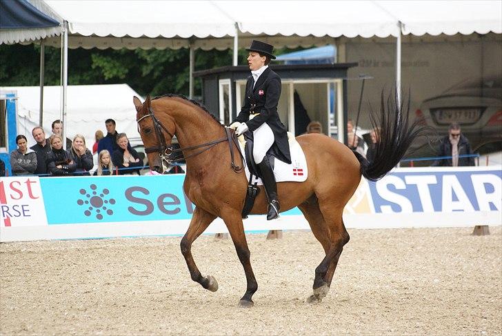 First Horse Grand Prix - 29 maj 2011 billede 452